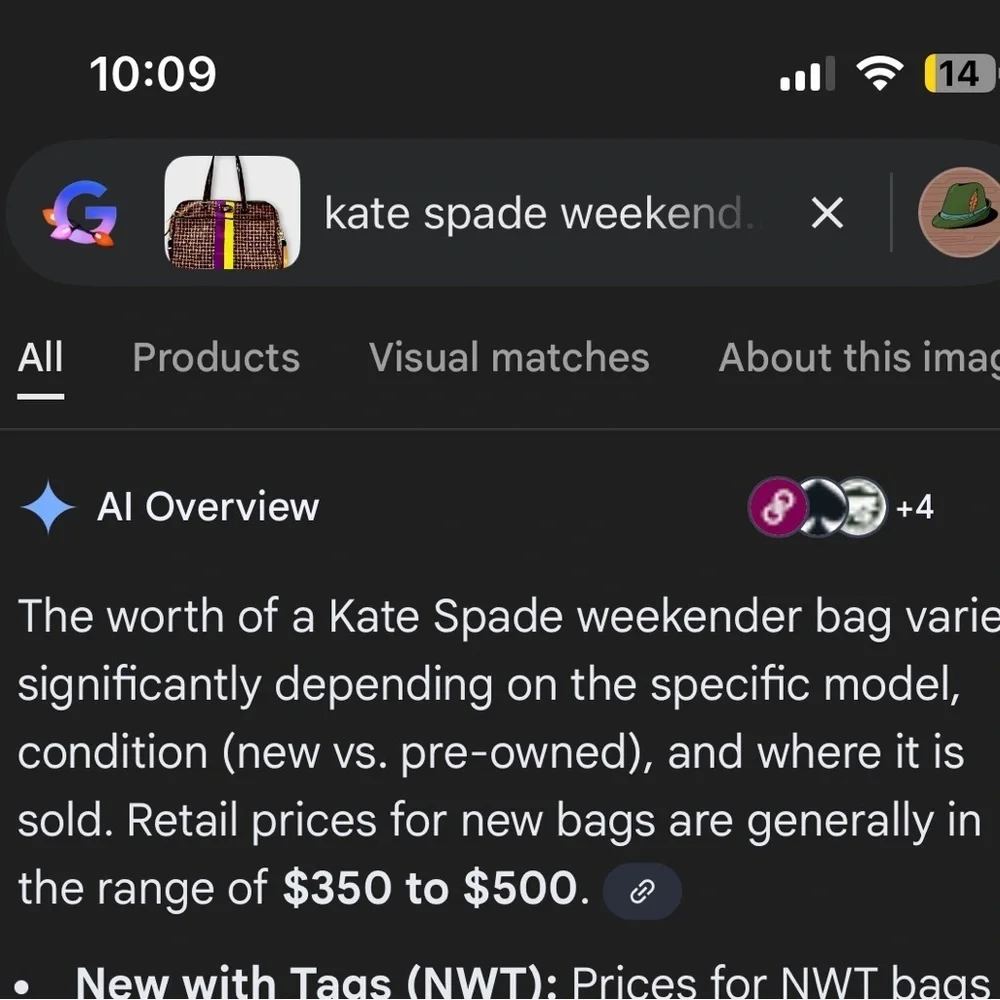 Kate Spade Brown and Purple Travel Duffle Bag